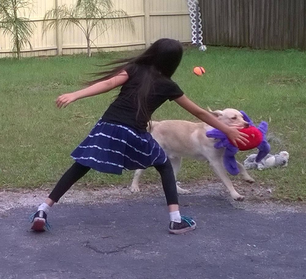 Charlie, a dog trained by Access To Service